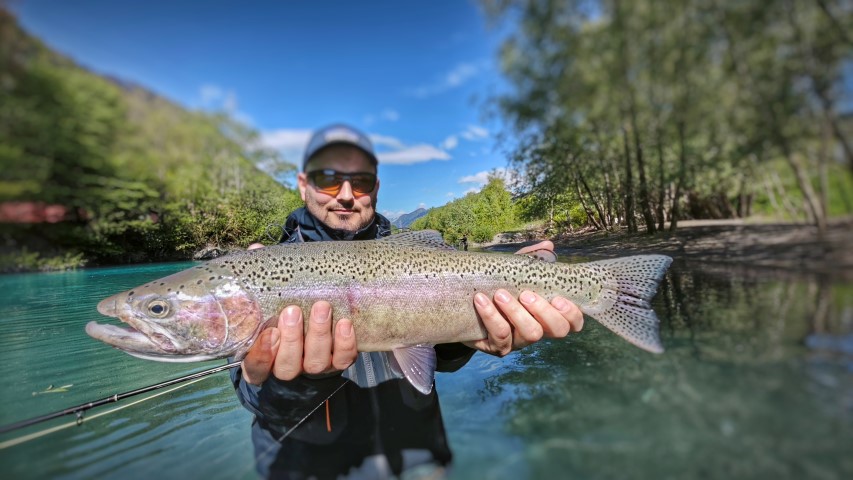 nice arinbow re.